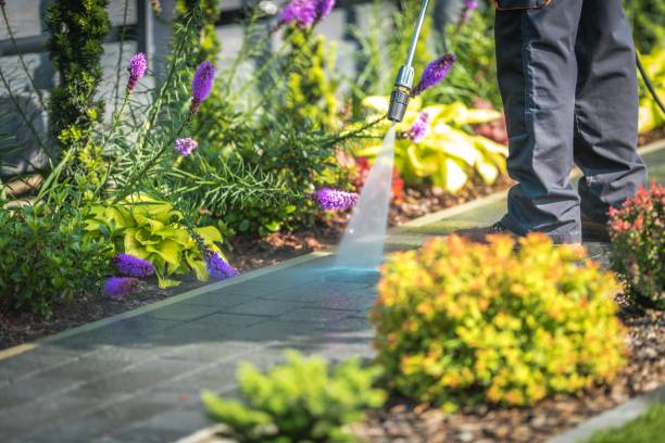 Spring Cleaning in Hernando, FL